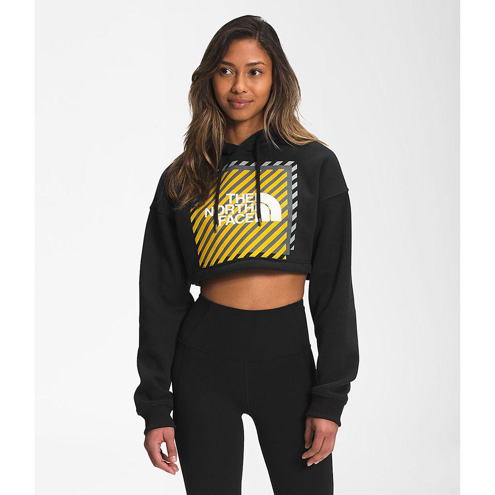 The North Face Coordinates Crop Drop Pullover Γυναικεια Φούτερ Hoodie - Μαυρα (FNHJ17486)